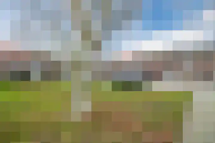 Christinahof 16 Tilburg thumbnail 39