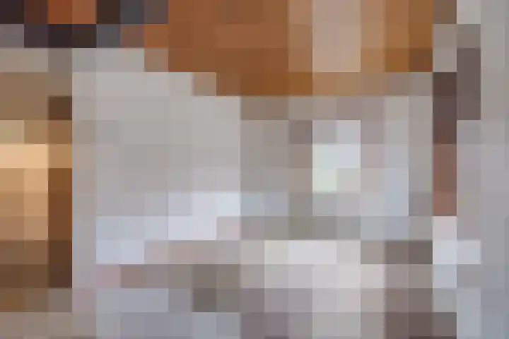 Christinahof 16 Tilburg thumbnail 4