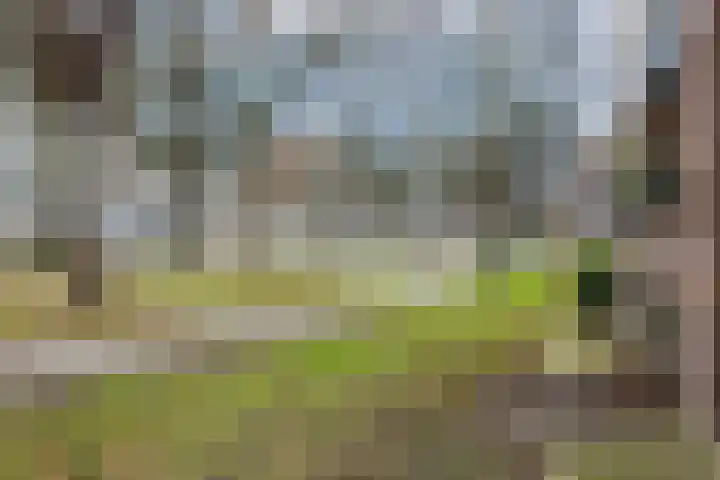 Christinahof 16 Tilburg thumbnail 40