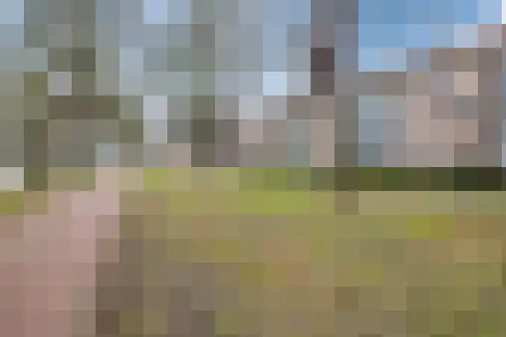 Christinahof 16 Tilburg thumbnail 41