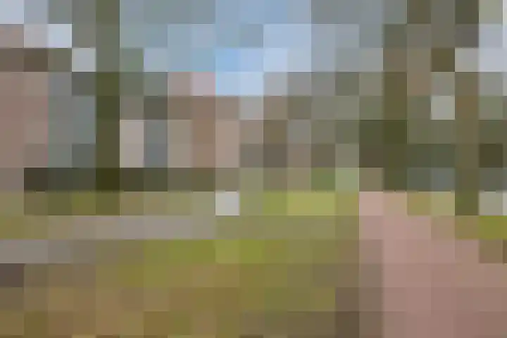 Christinahof 16 Tilburg thumbnail 42