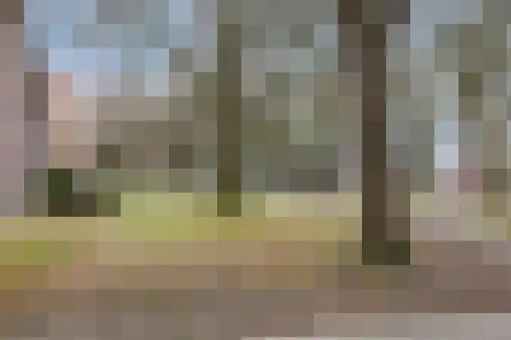 Christinahof 16 Tilburg thumbnail 45