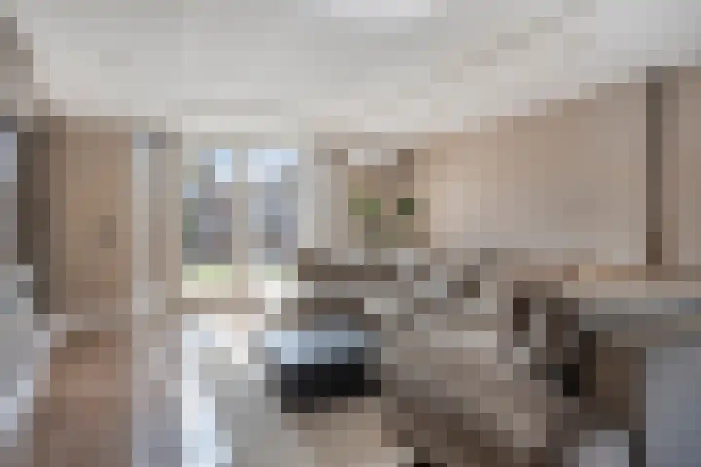 Christinahof 25 Tilburg thumbnail 11