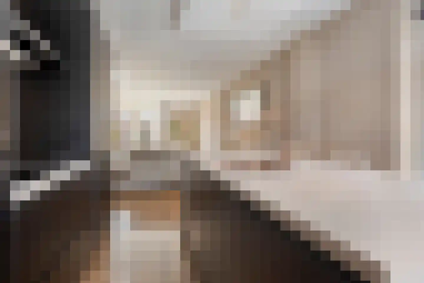 Christinahof 25 Tilburg thumbnail 23