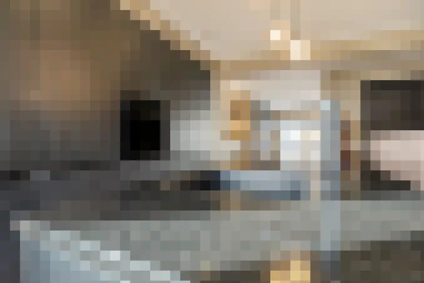 Christinahof 4 Tilburg thumbnail 14