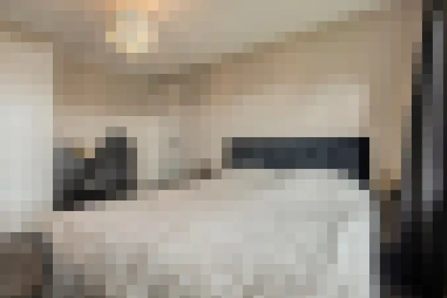 Christinahof 4 Tilburg thumbnail 26