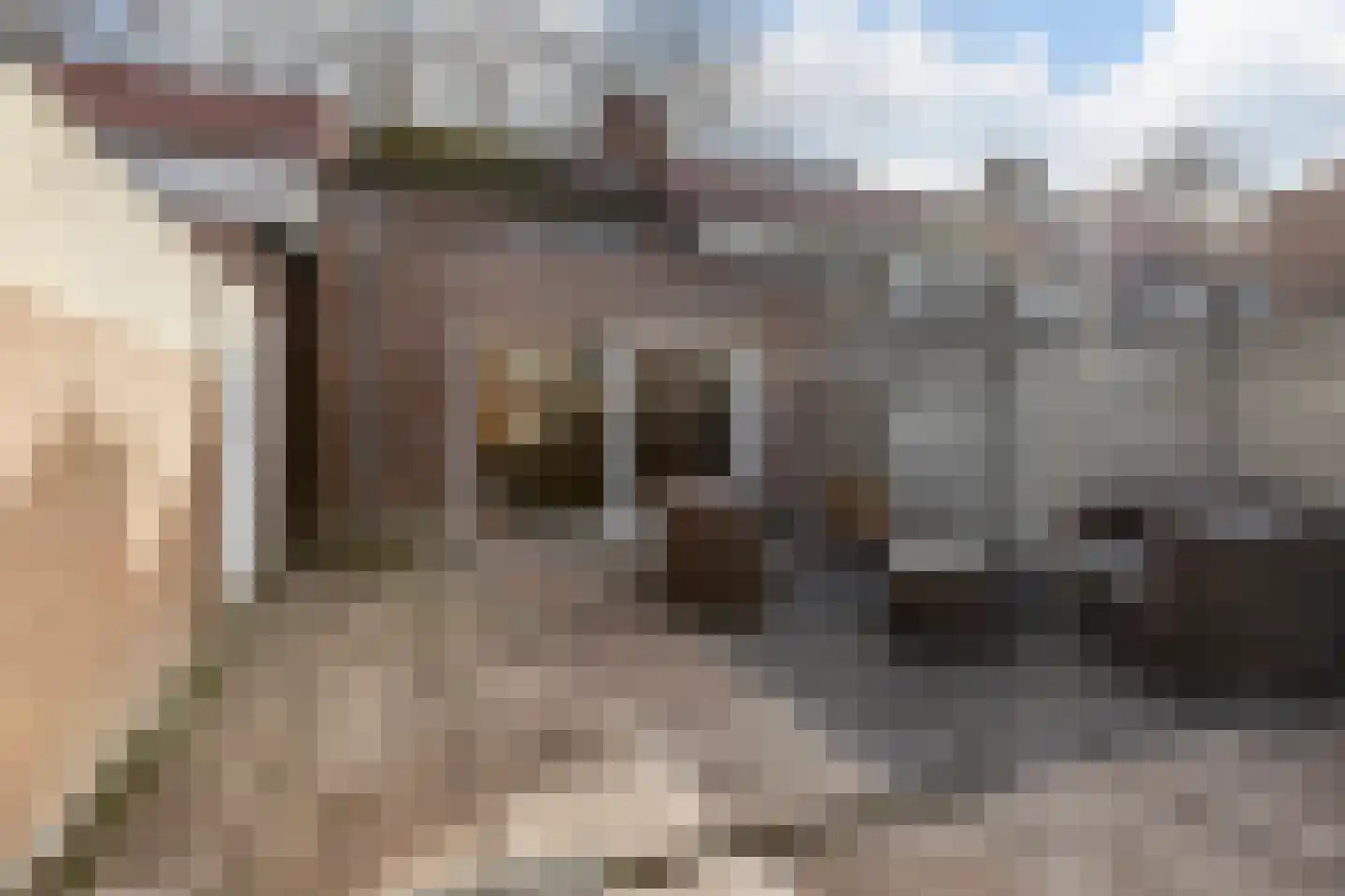 Christinahof 4 Tilburg thumbnail 32