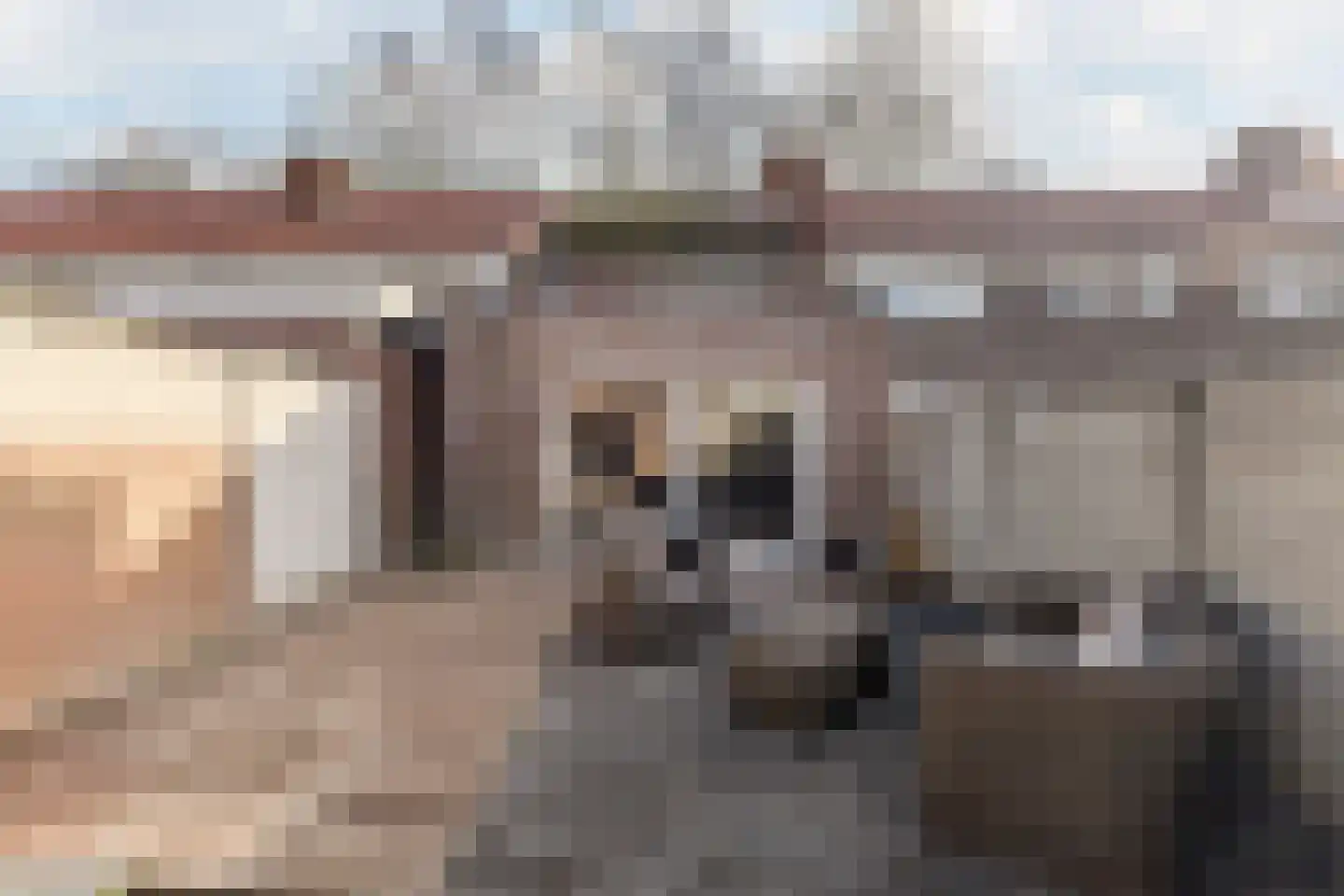 Christinahof 4 Tilburg thumbnail 33