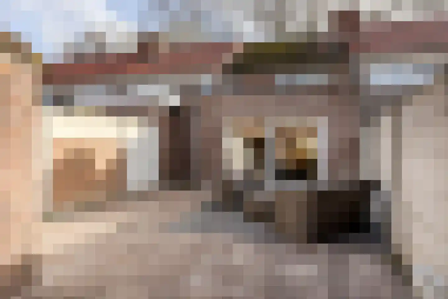 Christinahof 4 Tilburg thumbnail 34