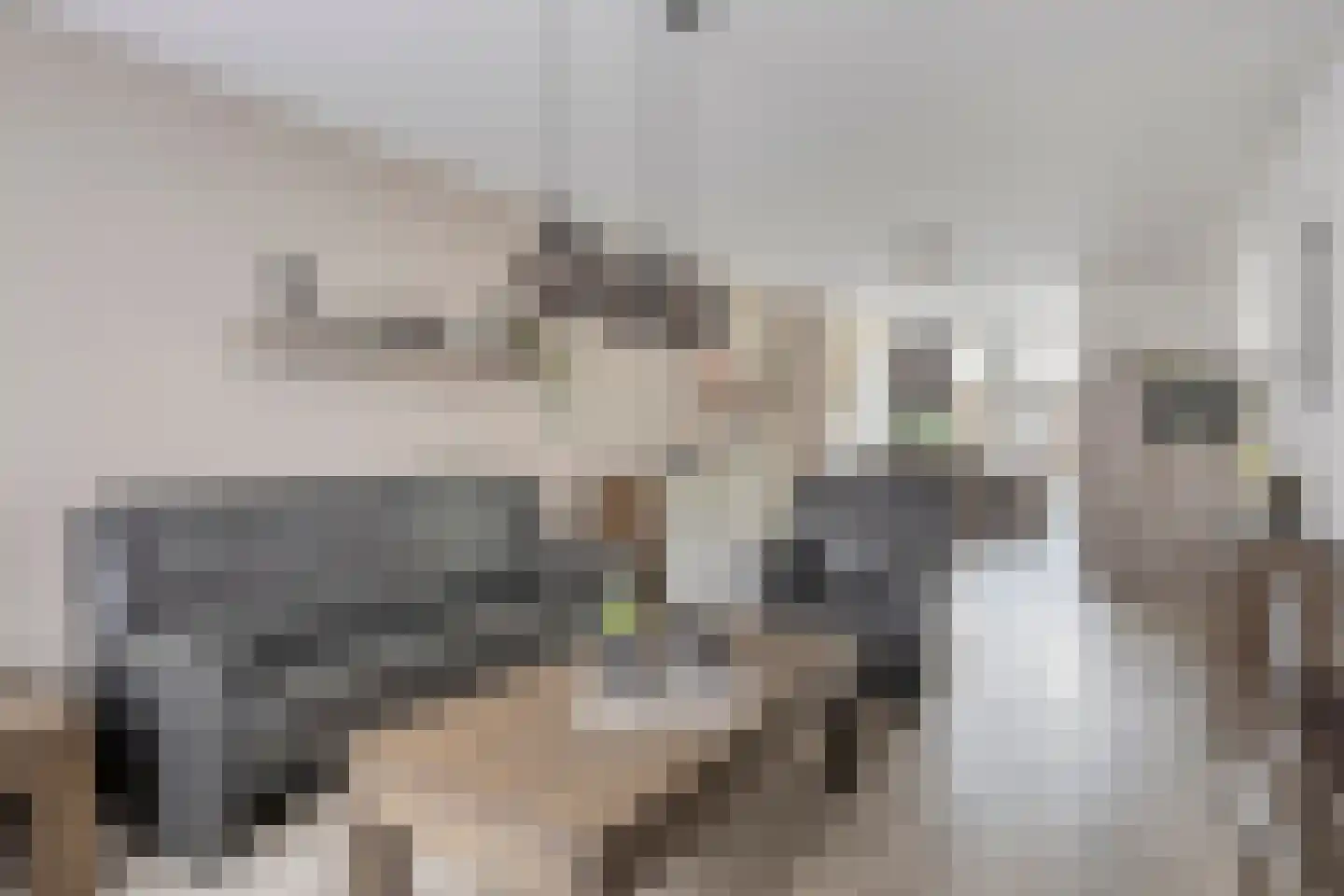Christinalaan 14 Helmond thumbnail 12