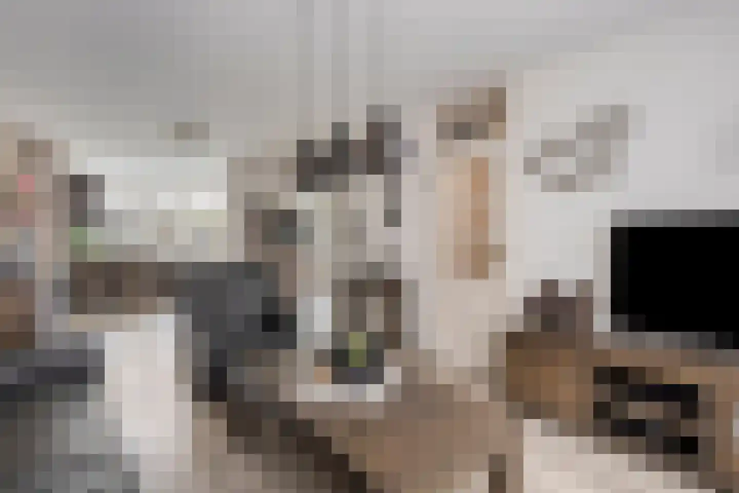 Christinalaan 14 Helmond thumbnail 14