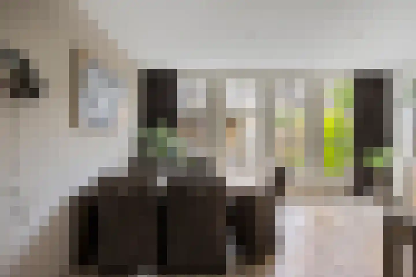 Christinalaan 14 Helmond thumbnail 15