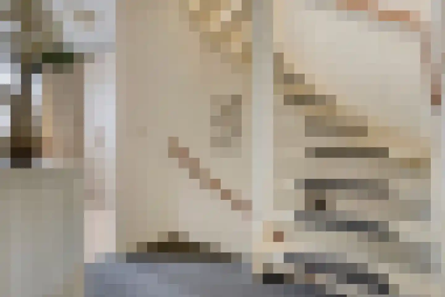 Christinalaan 14 Helmond thumbnail 25