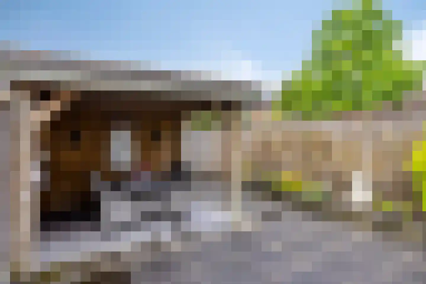 Christinalaan 14 Helmond thumbnail 33