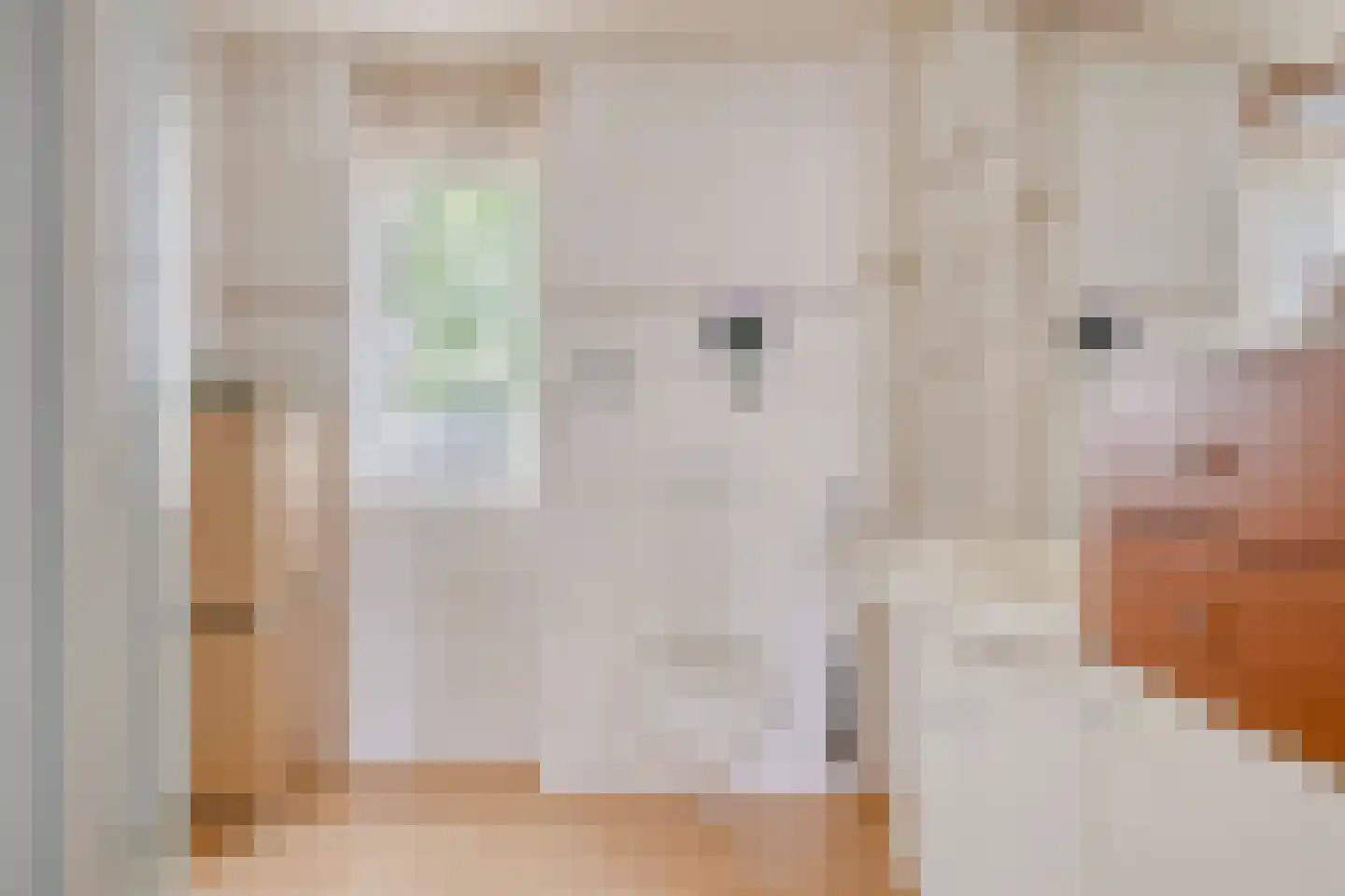 Christinalaan 14 Helmond thumbnail 6