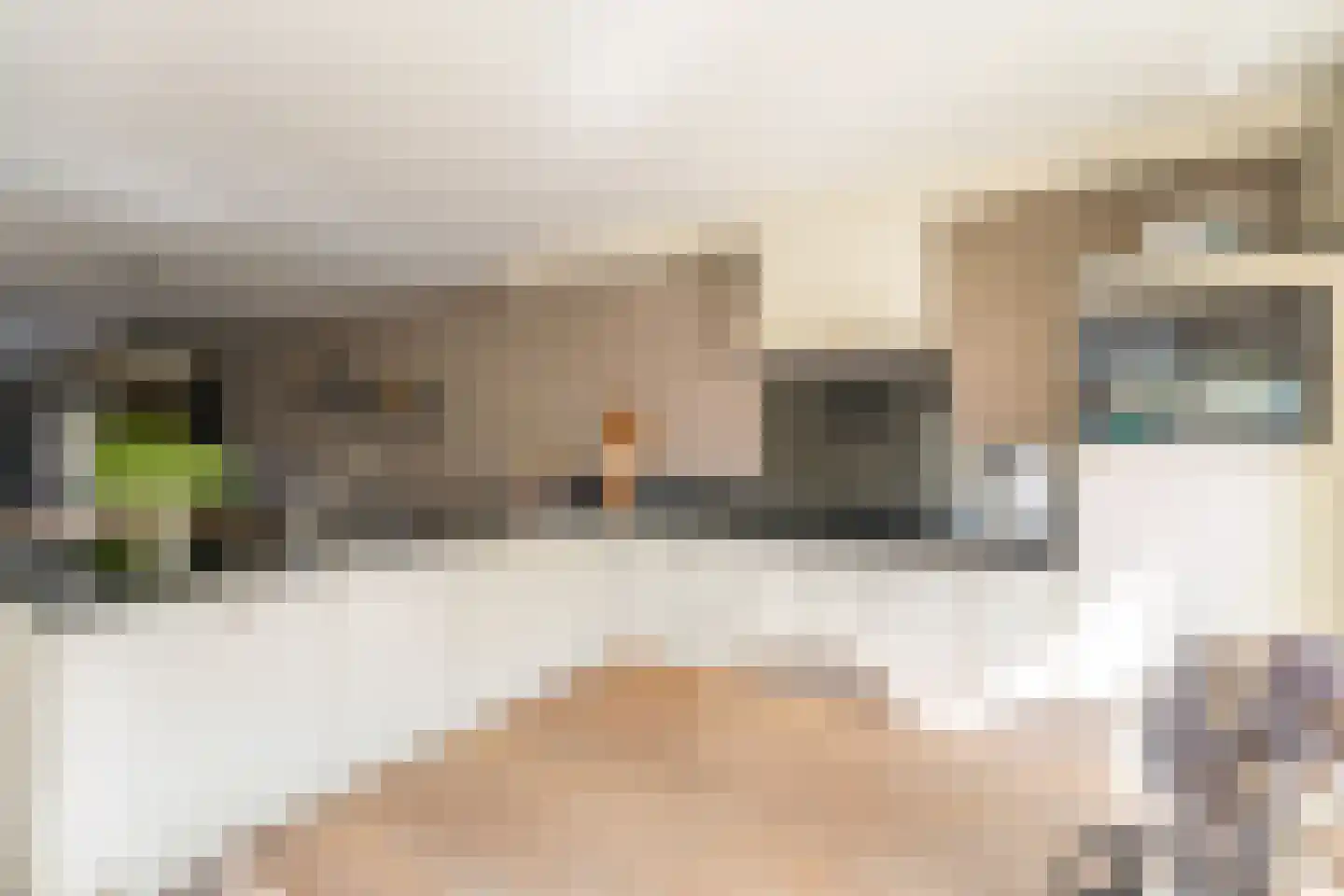 Christinalaan 14 Rijnsburg thumbnail 13