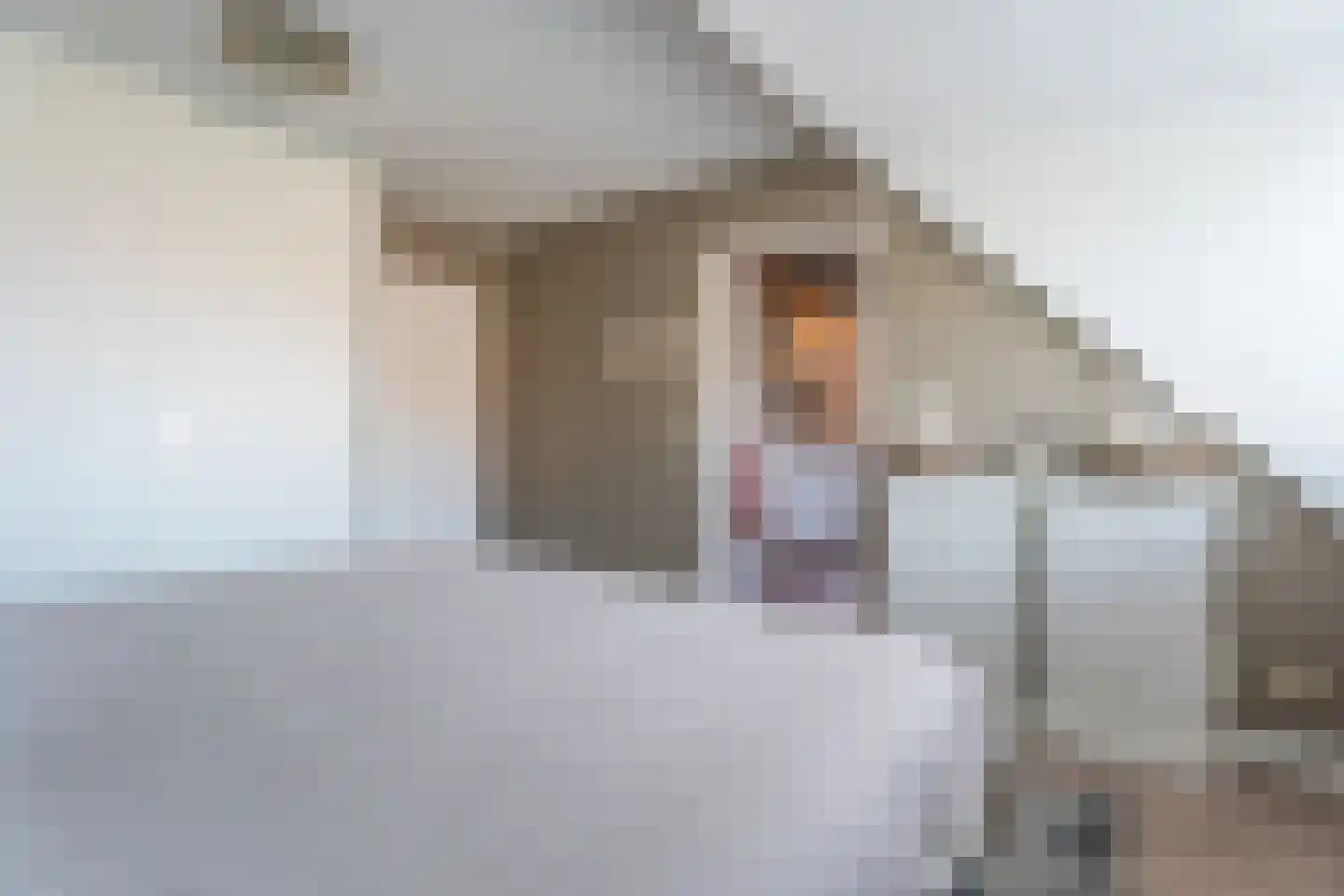 Christinalaan 14 Rijnsburg thumbnail 19