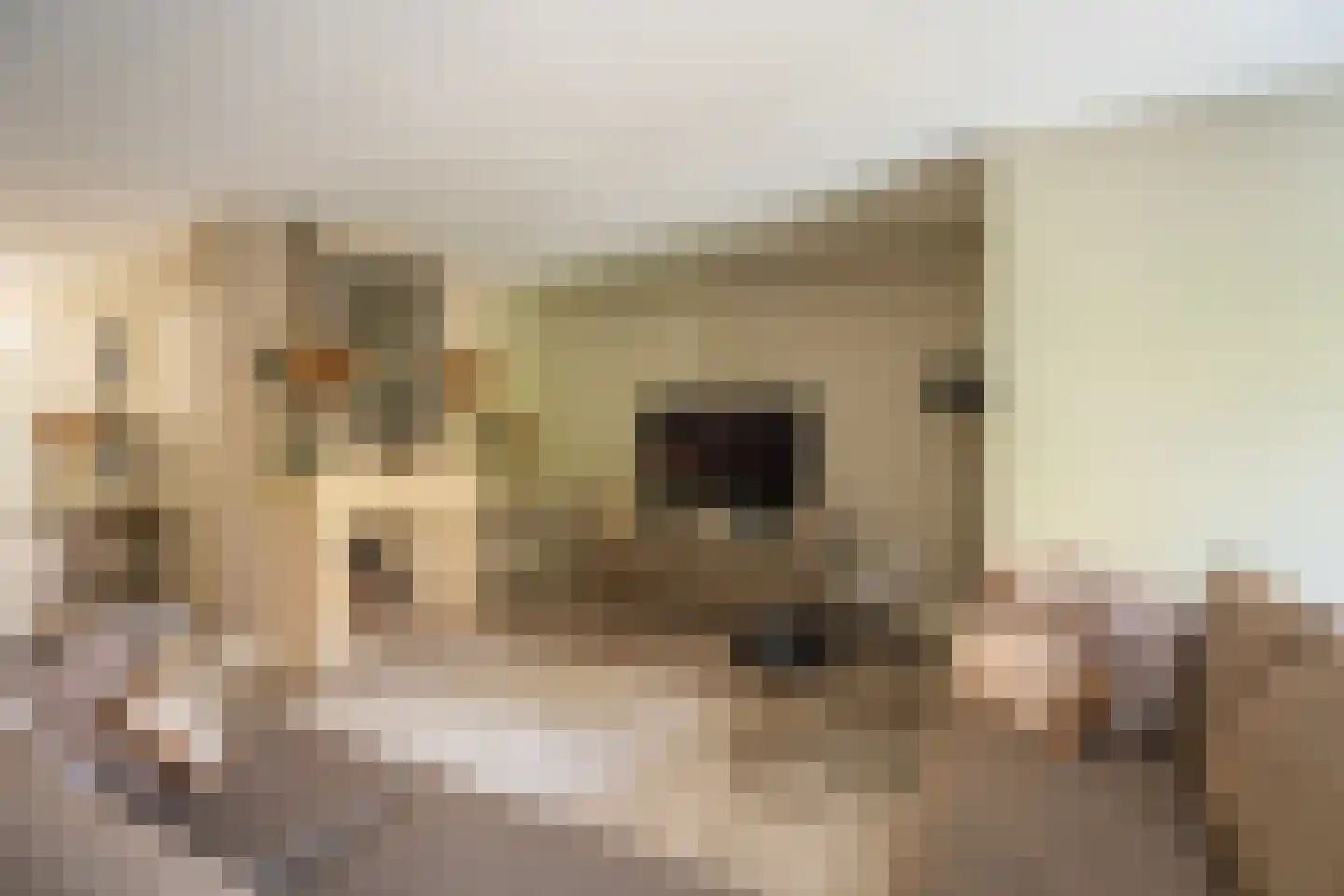 Christinalaan 14 Rijnsburg thumbnail 4