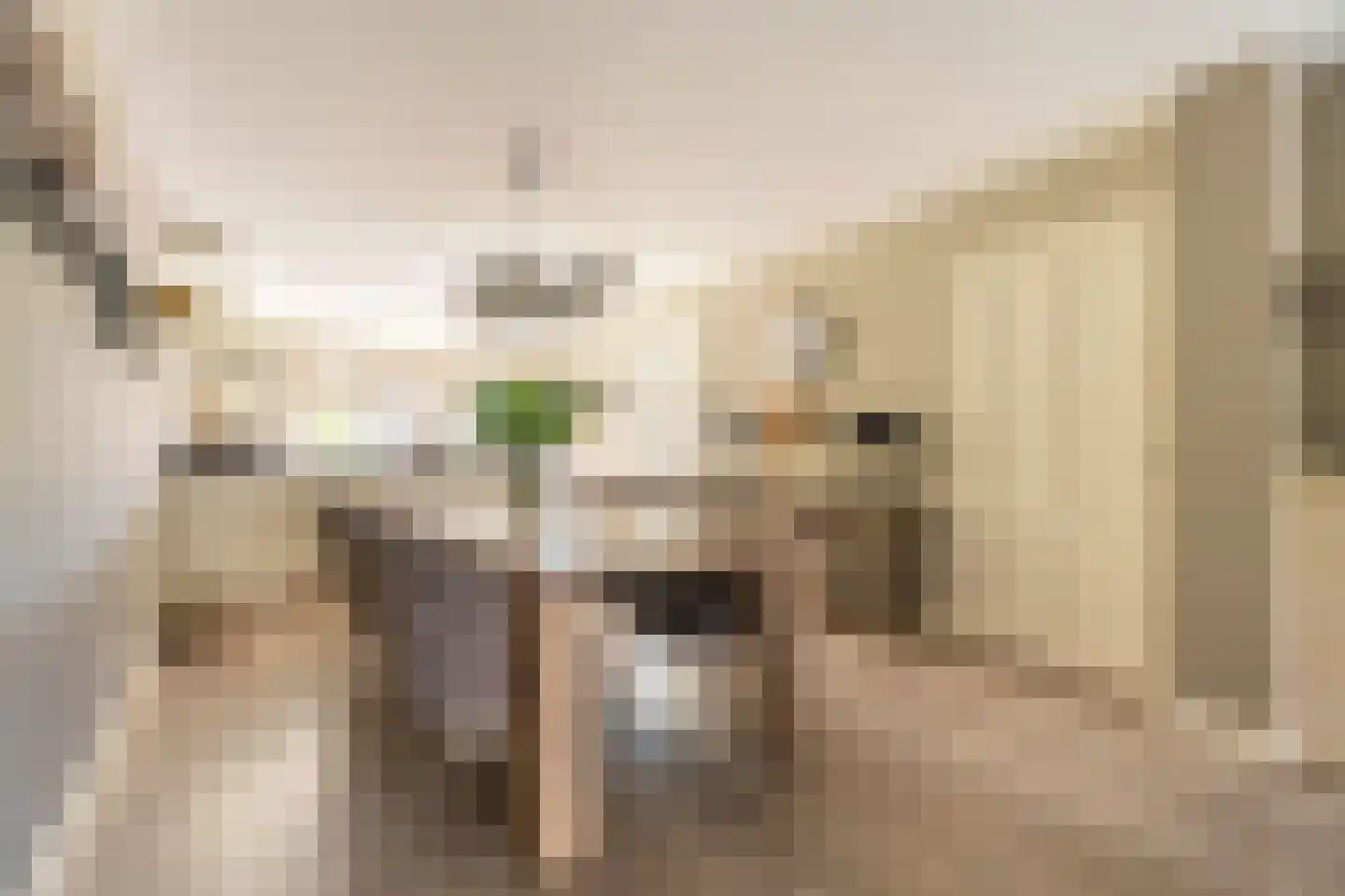 Christinalaan 14 Rijnsburg thumbnail 7