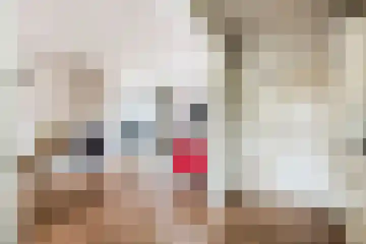 Christinalaan 17 Beusichem thumbnail 14