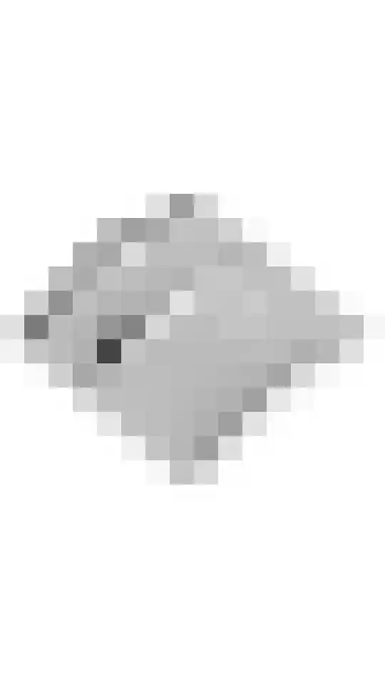 Christinalaan 17 Beusichem thumbnail 44