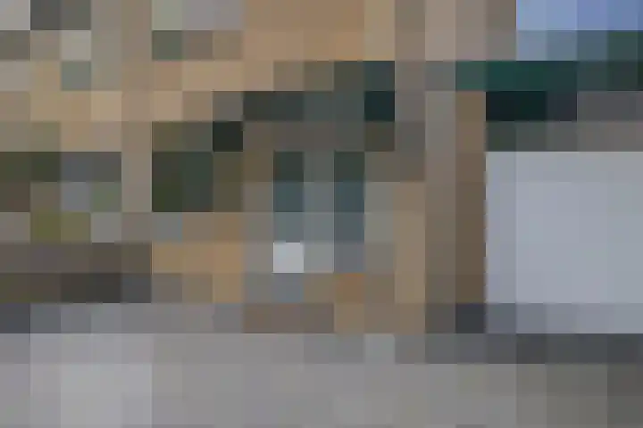 Christinalaan 21 Zwartewaal thumbnail 11