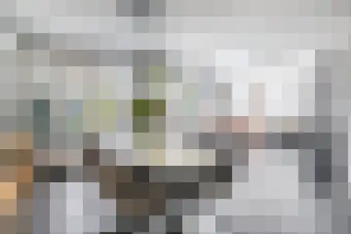 Christinalaan 21 Zwartewaal thumbnail 16