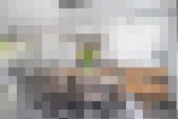 Christinalaan 21 Zwartewaal thumbnail 17