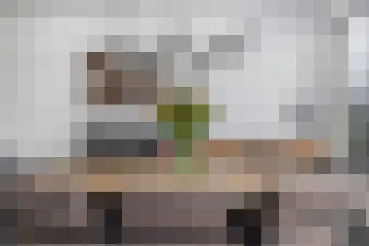 Christinalaan 21 Zwartewaal thumbnail 18