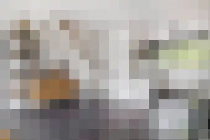 Christinalaan 21 Zwartewaal thumbnail 22