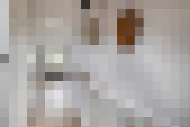 Christinalaan 21 Zwartewaal thumbnail 23