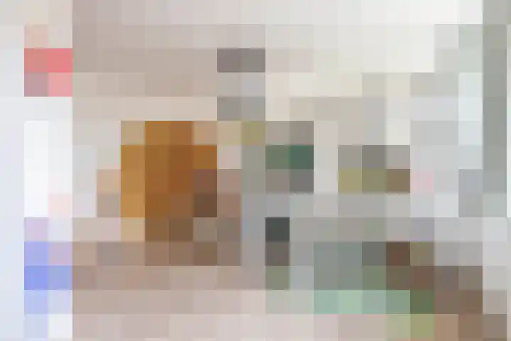 Christinalaan 21 Zwartewaal thumbnail 26