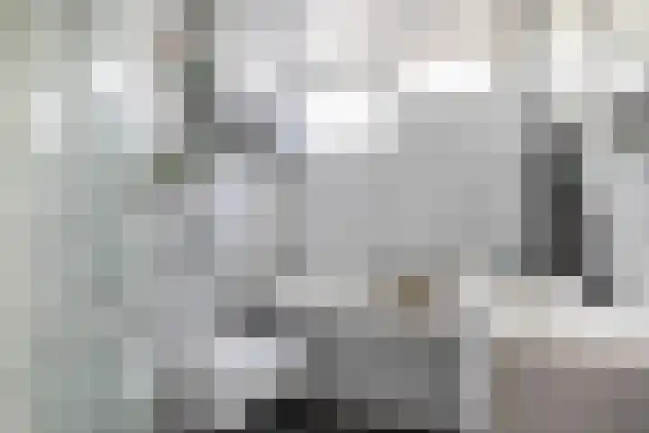 Christinalaan 21 Zwartewaal thumbnail 28