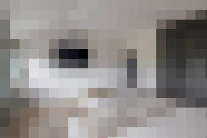 Christinalaan 21 Zwartewaal thumbnail 33
