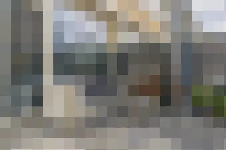 Christinalaan 21 Zwartewaal thumbnail 37