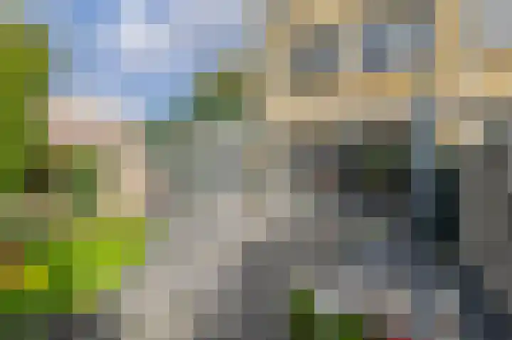 Christinalaan 21 Zwartewaal thumbnail 38