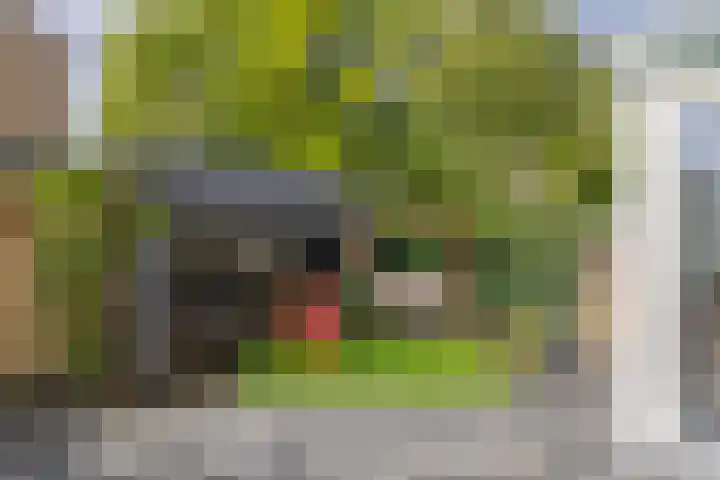 Christinalaan 21 Zwartewaal thumbnail 4