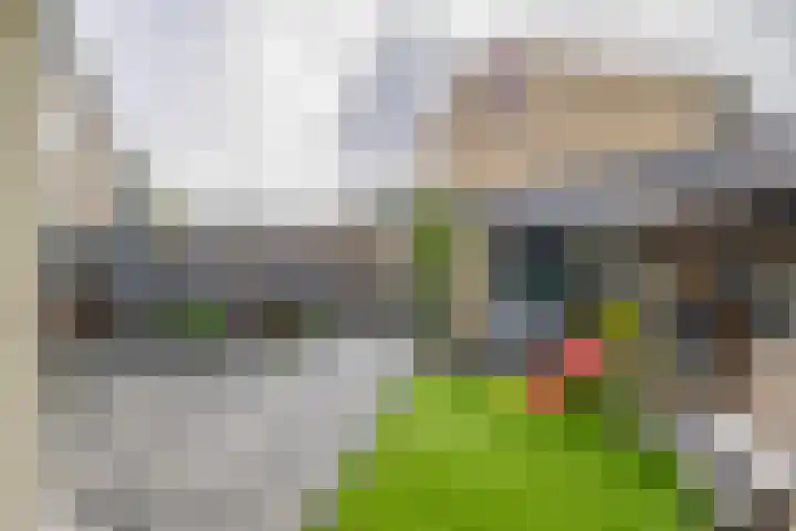 Christinalaan 21 Zwartewaal thumbnail 40