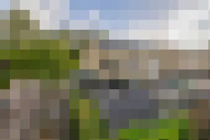 Christinalaan 21 Zwartewaal thumbnail 5