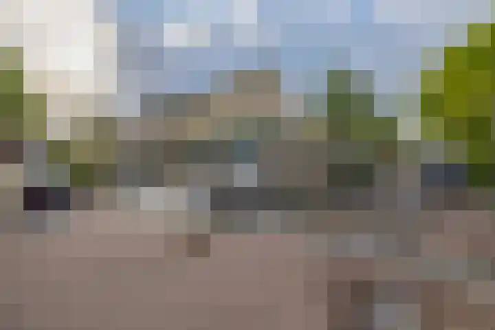 Christinalaan 21 Zwartewaal thumbnail 7