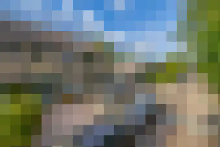 Christinalaan 21 Zwartewaal thumbnail 8