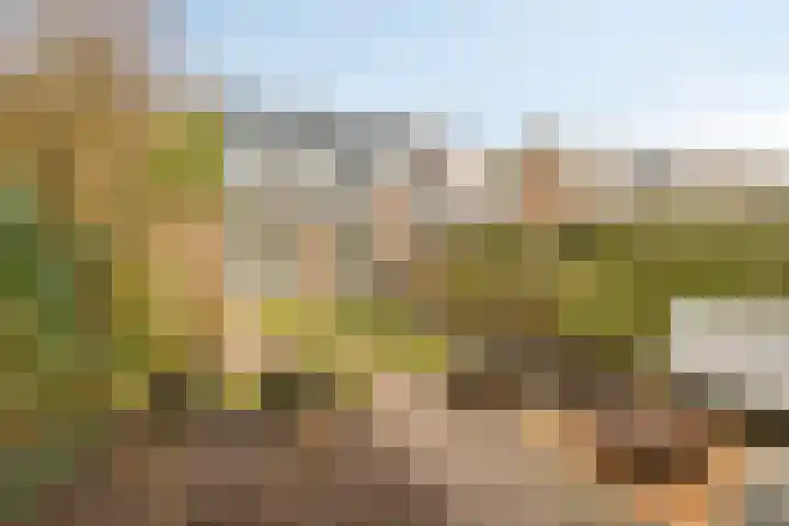 Christinalaan 23 Soest thumbnail 30