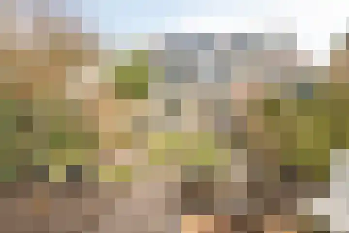 Christinalaan 23 Soest thumbnail 31