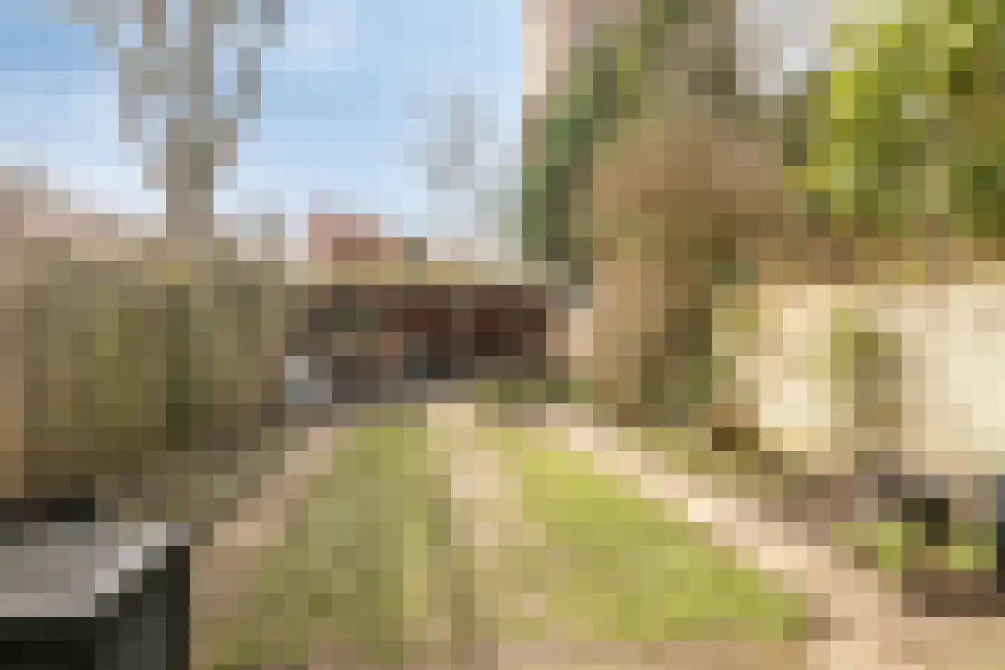 Christinalaan 23 Soest thumbnail 33