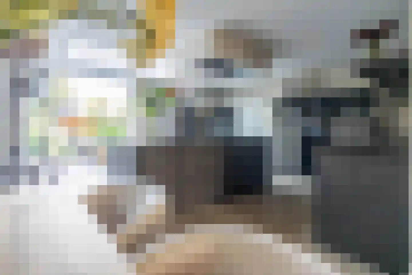 Christinalaan 30 Rijnsburg thumbnail 31