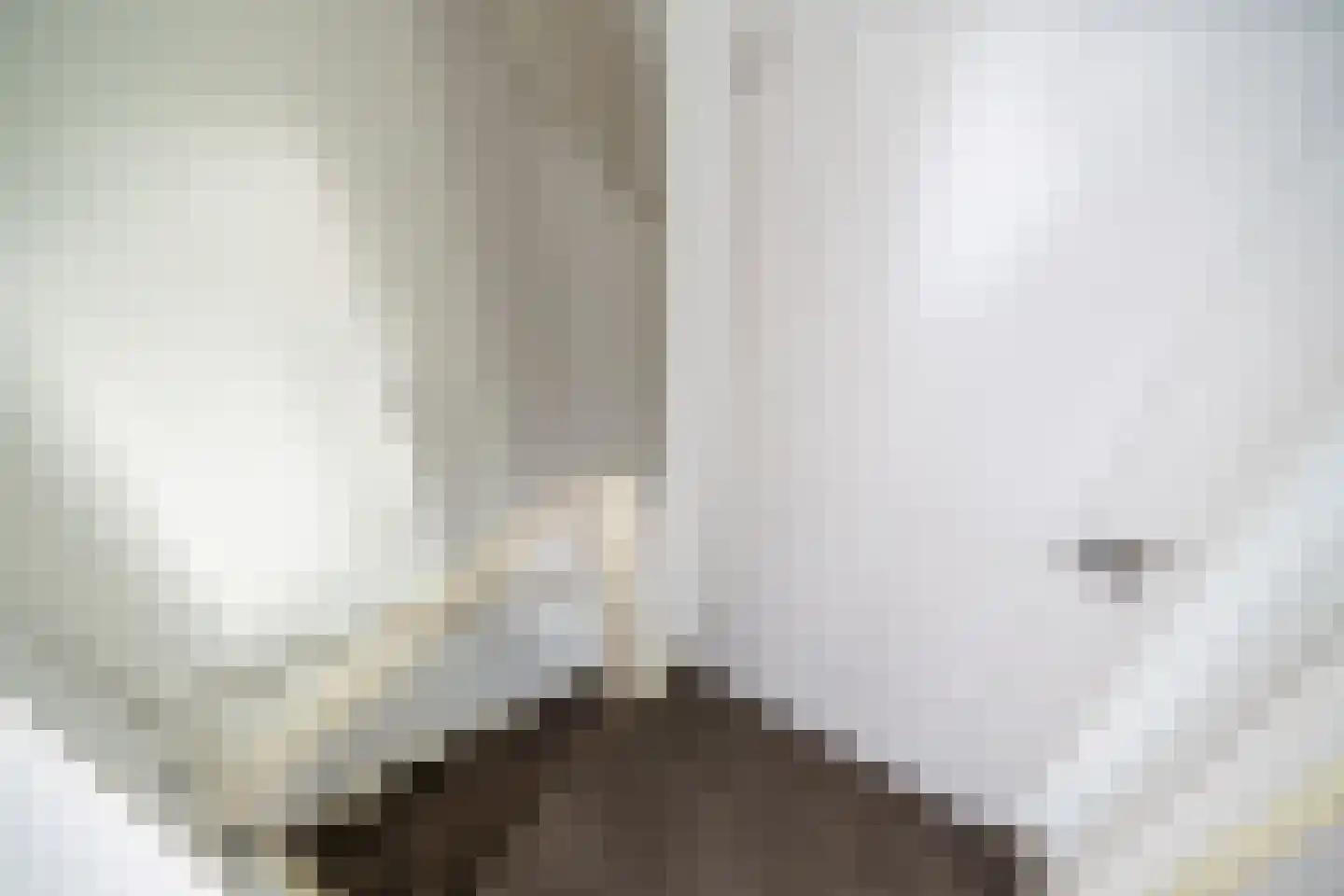 Christinalaan 30 Rijnsburg thumbnail 84