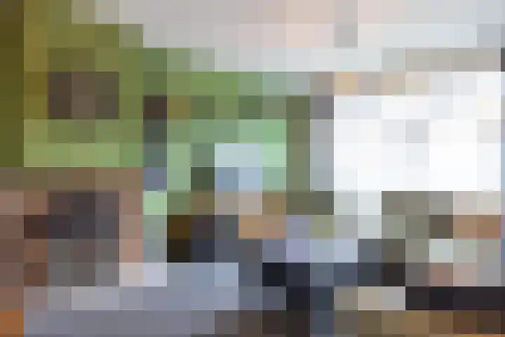 Christinalaan 5 Susteren thumbnail 11
