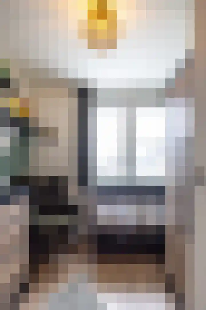 Christinalaan 5 Susteren thumbnail 17