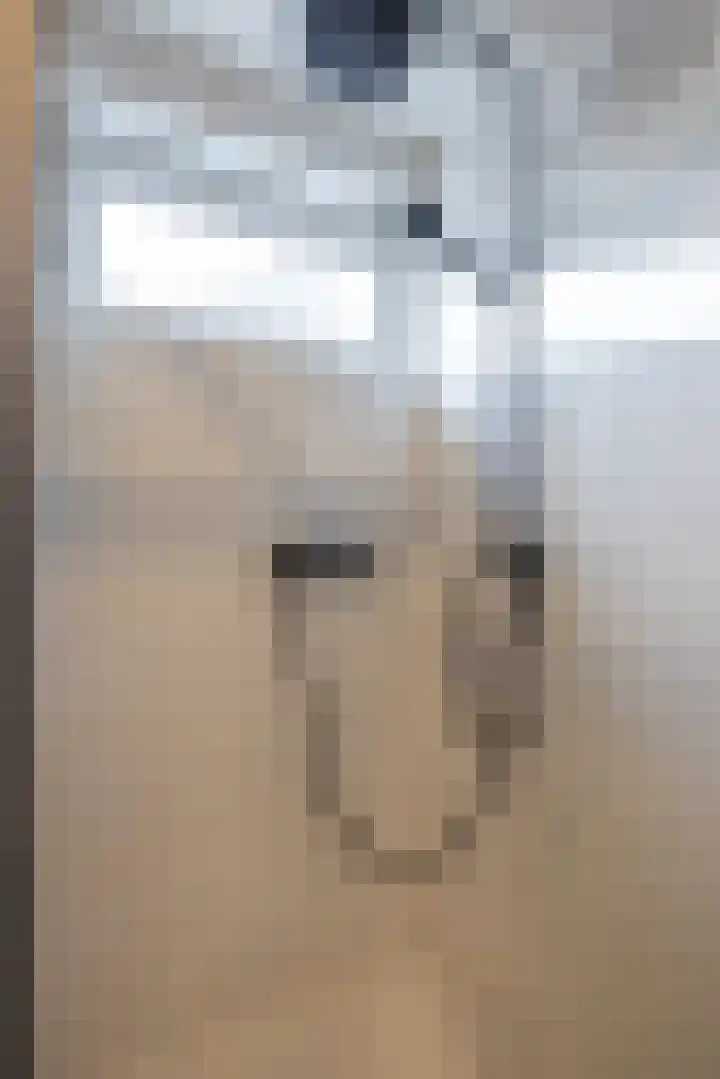 Christinalaan 5 Susteren thumbnail 23