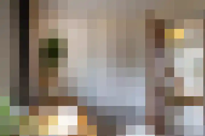 Christinalaan 6 Vorden thumbnail 30